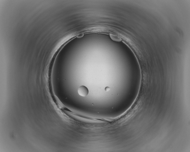 X0000113001426200909031244