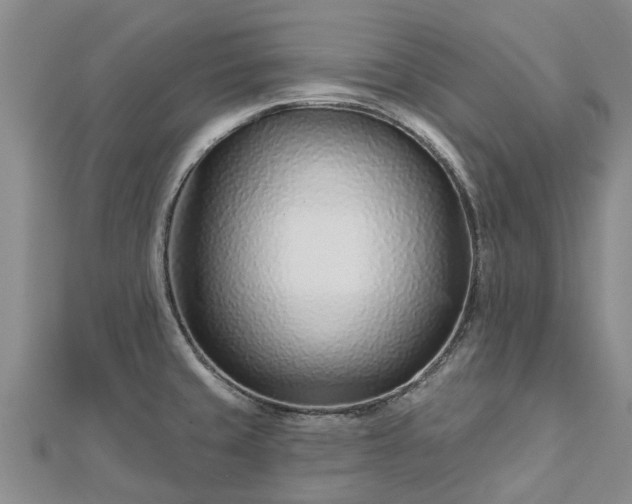 X0000113001429200909031244