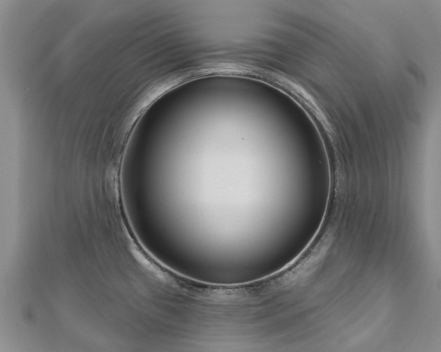 X0000113001433200909031244