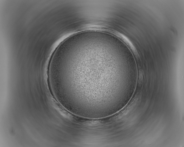 X0000113001435200909031244