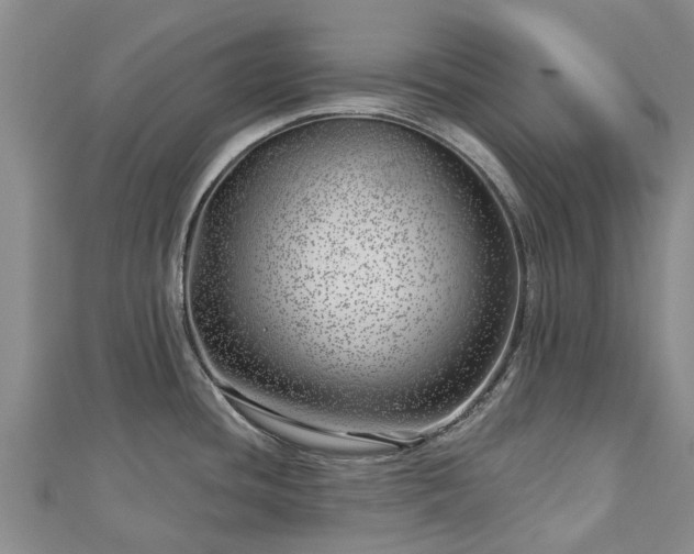 X0000113001436200909031244