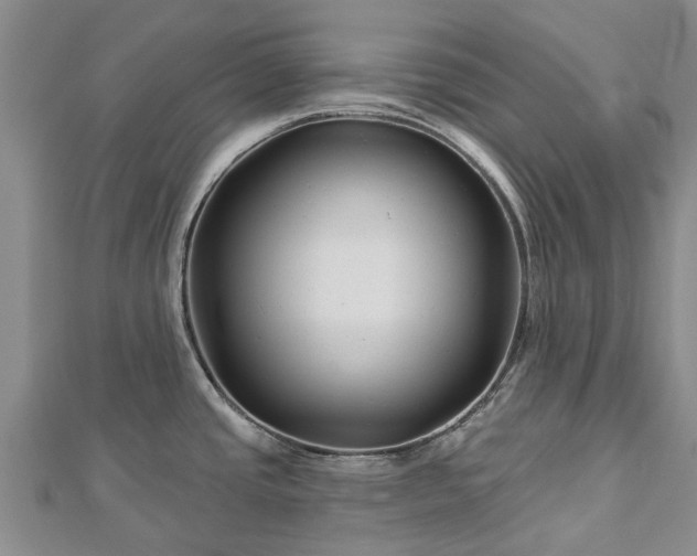 X0000113001437200909031244