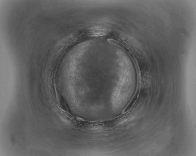 X0000113001441200909031243