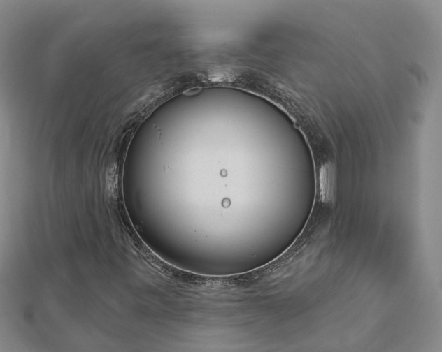 X0000113001443200909031243