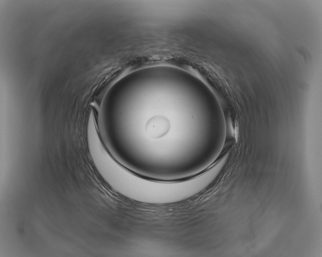 X0000113001444200909031243