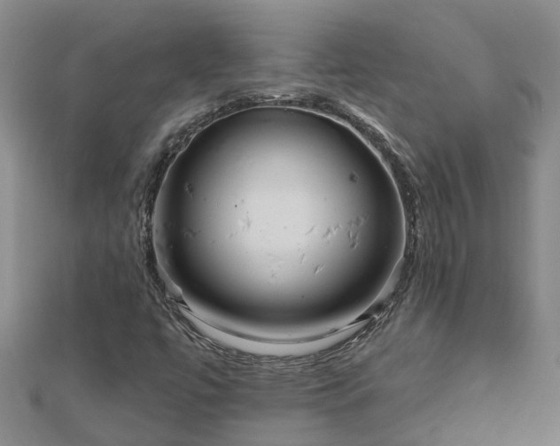 X0000113001447200909031243