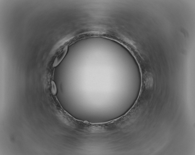 X0000113001448200909031243