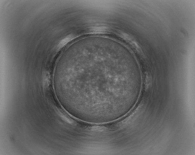 X0000113001449200909031243