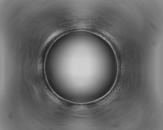 X0000113001450200909031243