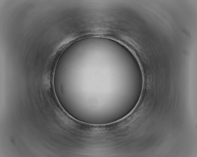 X0000113001451200909031243