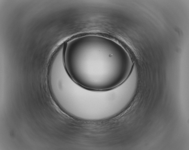 X0000113001452200909031243