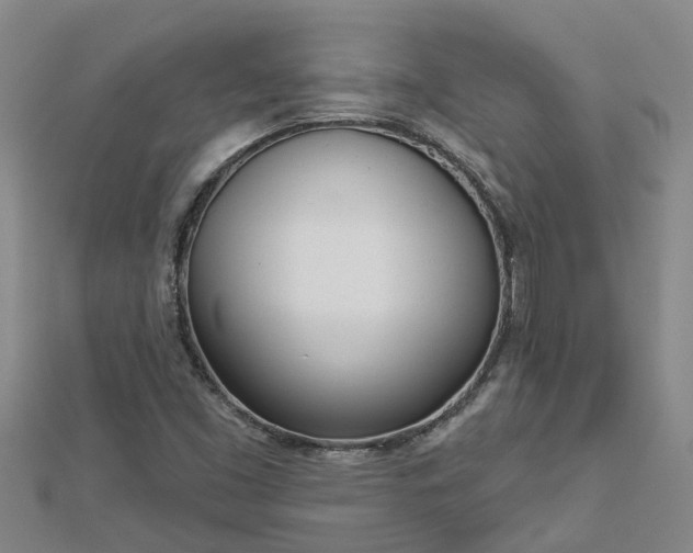 X0000113001453200909031243