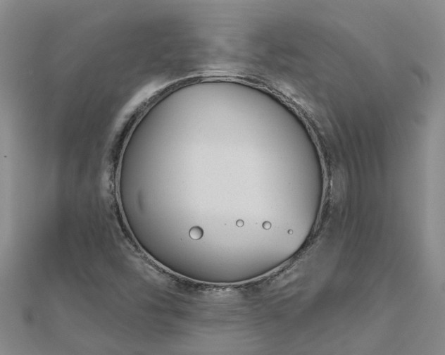 X0000113001454200909031243