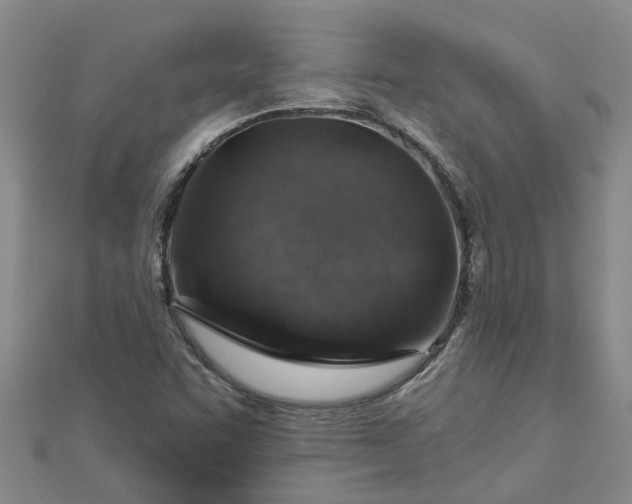 X0000113001455200909031243