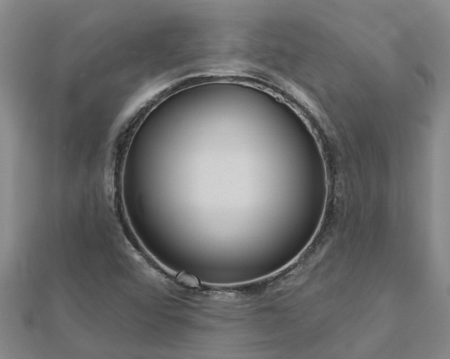 X0000113001456200909031243