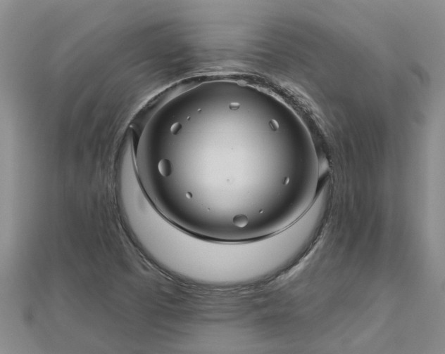 X0000113001457200909031243