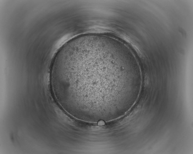 X0000113001459200909031243