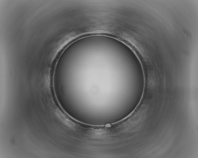 X0000113001460200909031243