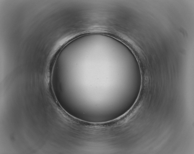 X0000113001461200909031243