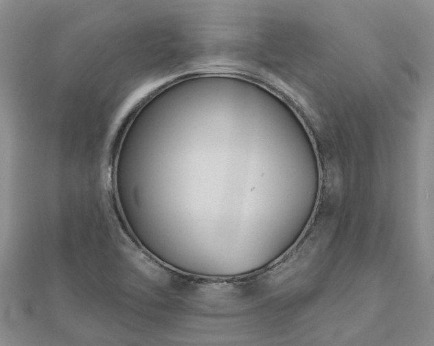 X0000113001462200909031243