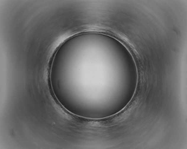 X0000113001463200909031243