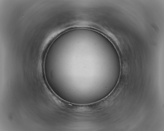 X0000113001464200909031243