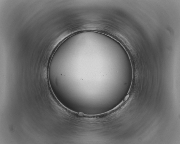 X0000113001465200909031243