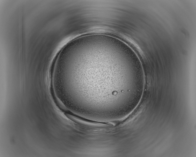 X0000113001467200909031243