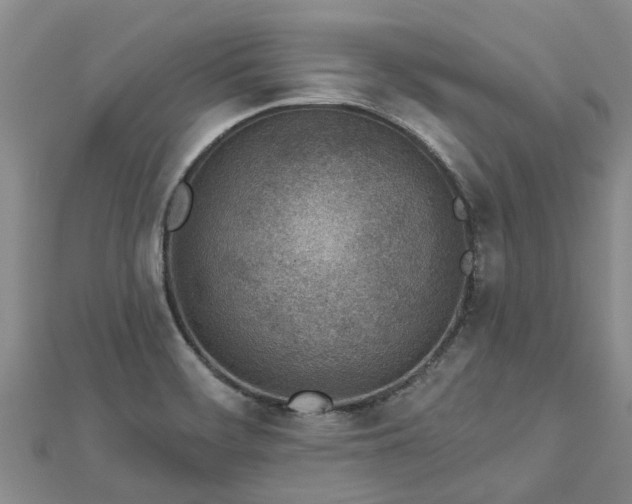 X0000113001468200909031243