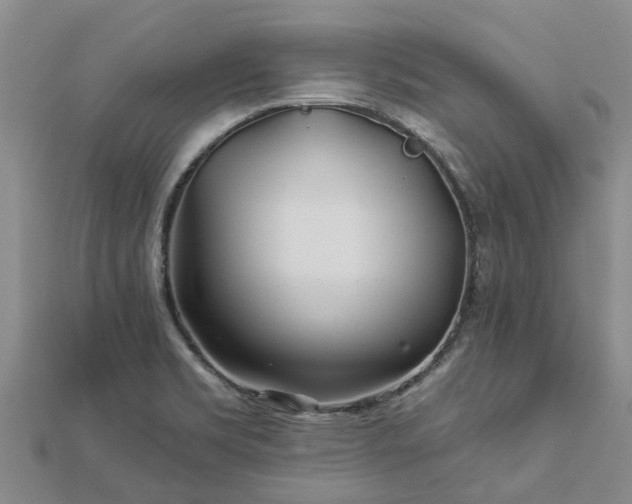 X0000113001469200909031243