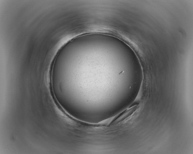 X0000113001471200909031243