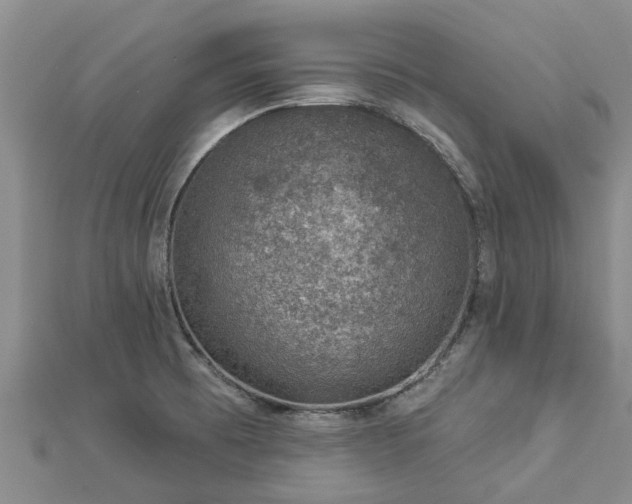 X0000113001473200909031243