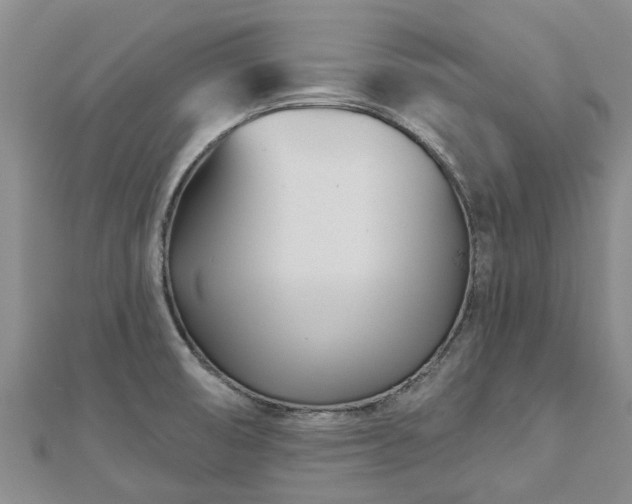 X0000113001474200909031243