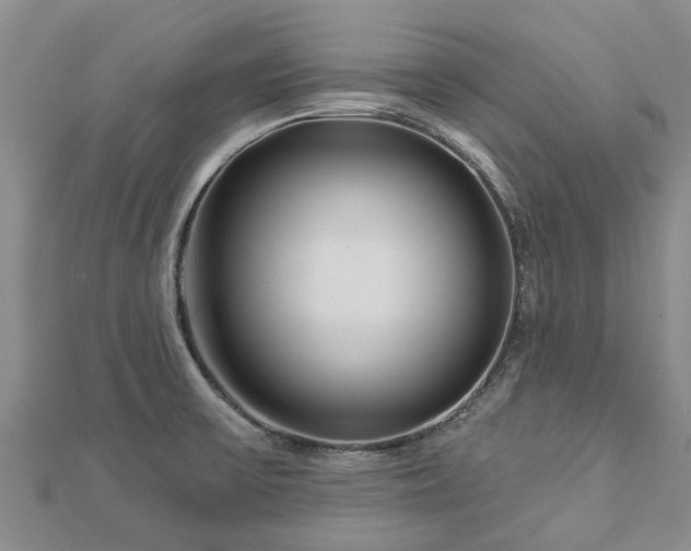 X0000113001475200909031243