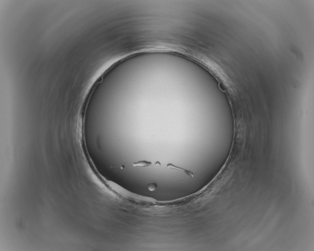 X0000113001476200909031243