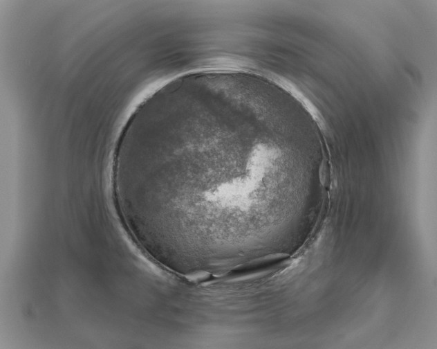 X0000113001477200909031243