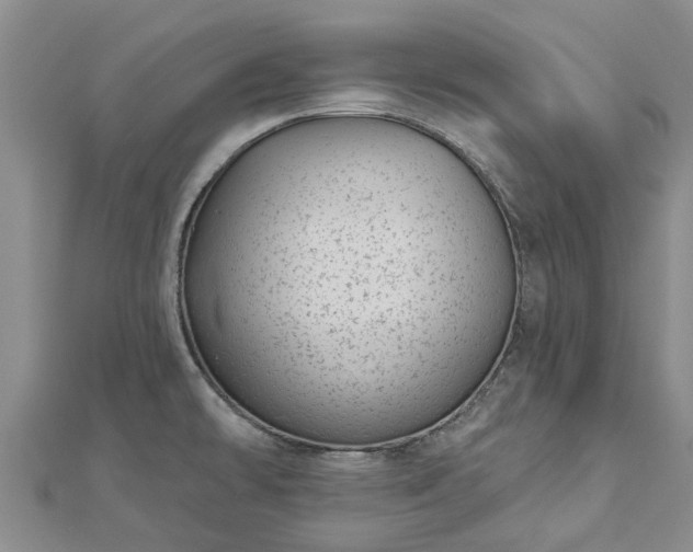 X0000113001478200909031243