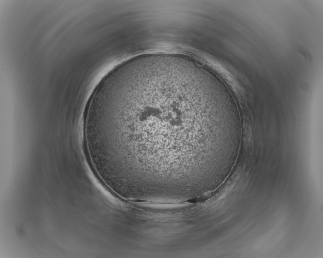 X0000113001479200909031243