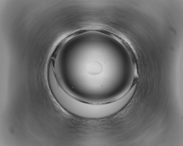 X0000113001480200909031243