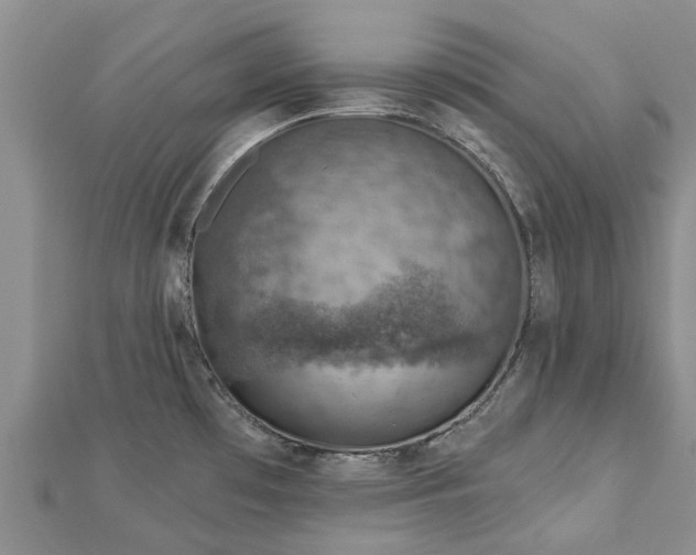 X0000113001481200909031243