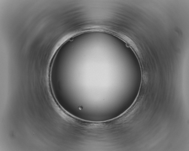 X0000113001482200909031243