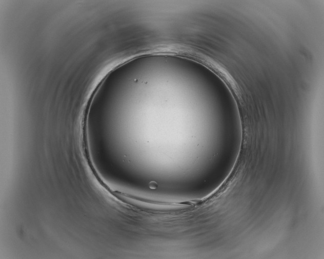 X0000113001483200909031243