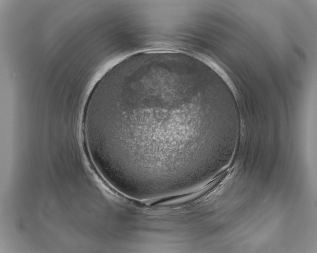 X0000113001485200909031243