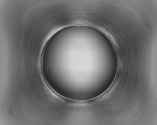 X0000113001486200909031243