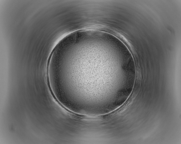 X0000113001487200909031243