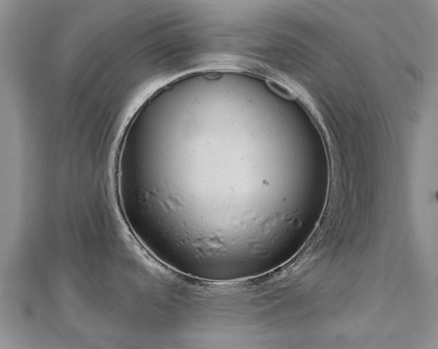 X0000113001488200909031243