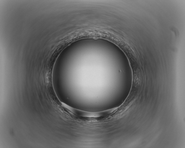 X0000113001490200909031242