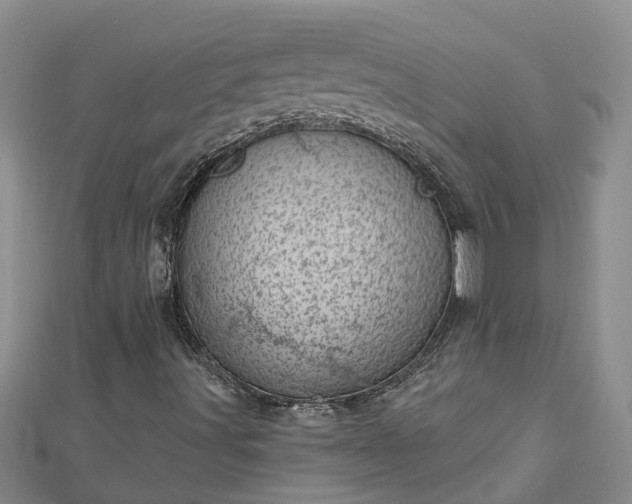 X0000113001491200909031242