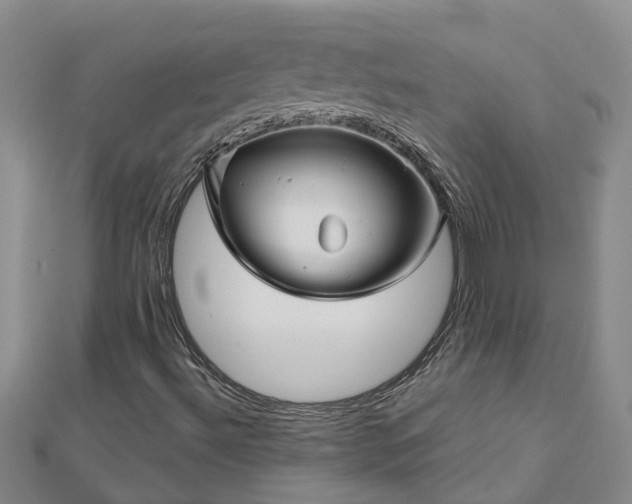 X0000113001492200909031242