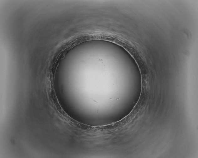 X0000113001493200909031242